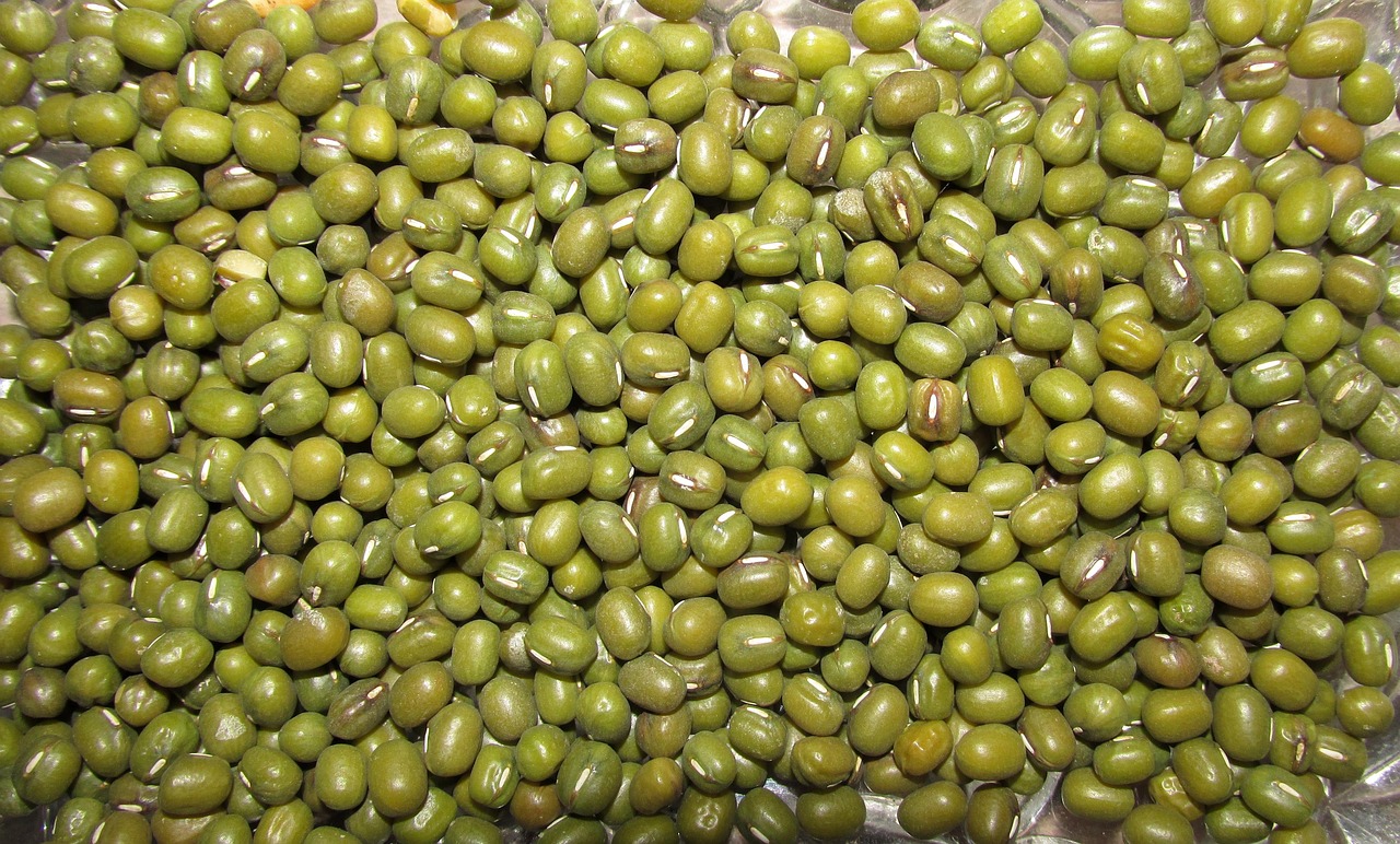 découvrez notre sélection des meilleurs légumes frais et sains ! explorez des recettes savoureuses, des astuces de préparation et des conseils pour intégrer davantage de légumes dans votre alimentation quotidienne.