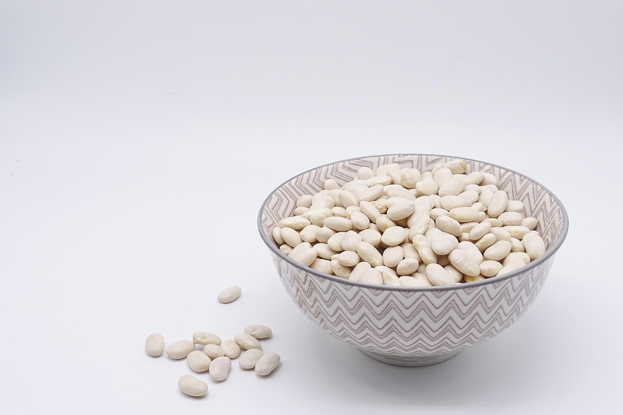 découvrez le mode de vie végétarien : bienfaits pour la santé, recettes savoureuses, conseils nutritionnels et astuces pour adopter une alimentation sans viande facilement et avec plaisir.