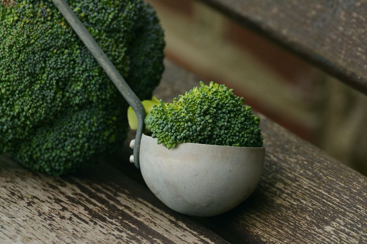 découvrez l’univers végétarien : recettes savoureuses, conseils nutritionnels et idées pour adopter un mode de vie sain et respectueux de l’environnement.