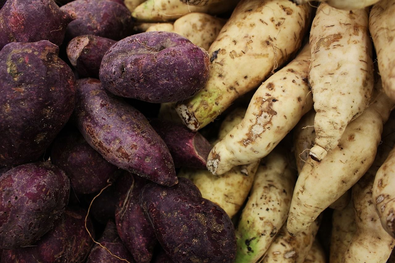 découvrez les bienfaits et recettes savoureuses de la patate douce, un tubercule riche en nutriments et délicieusement sucré.