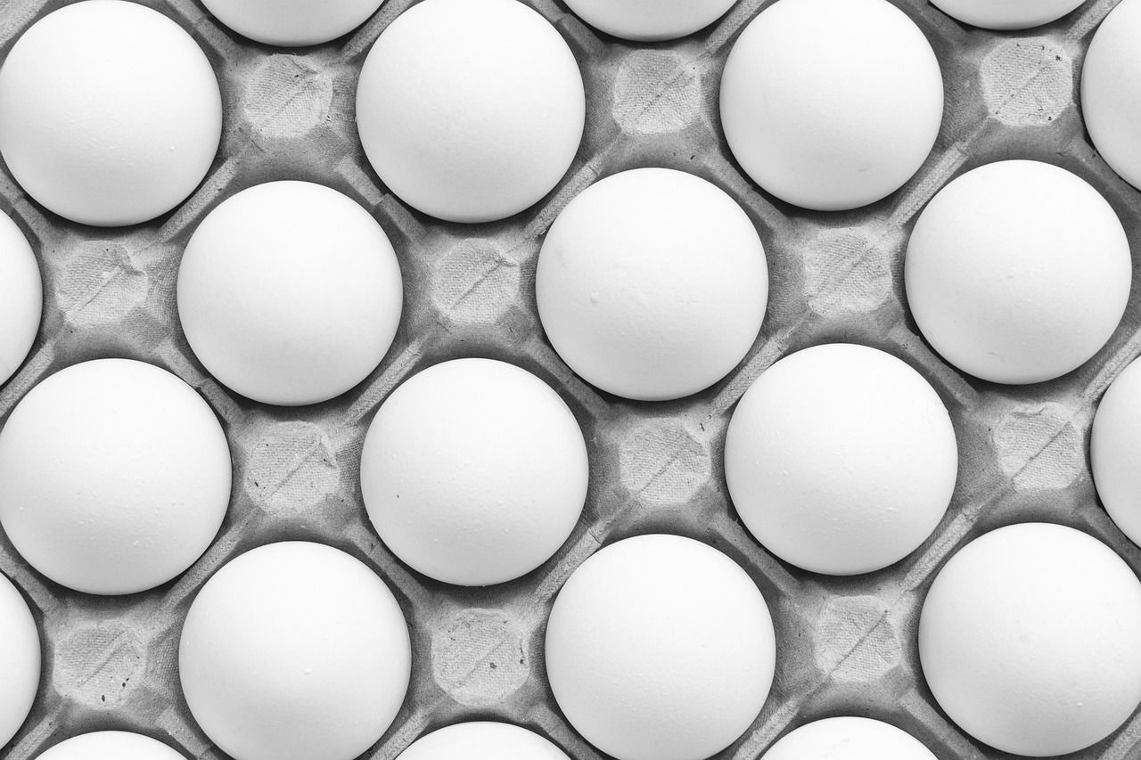 découvrez nos recettes savoureuses pour utiliser vos restes de poulet et transformer vos repas en véritables délices.