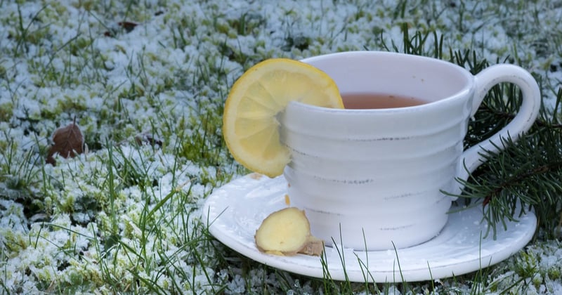 Citron gingembre : la boisson détox qui booste vraiment votre énergie