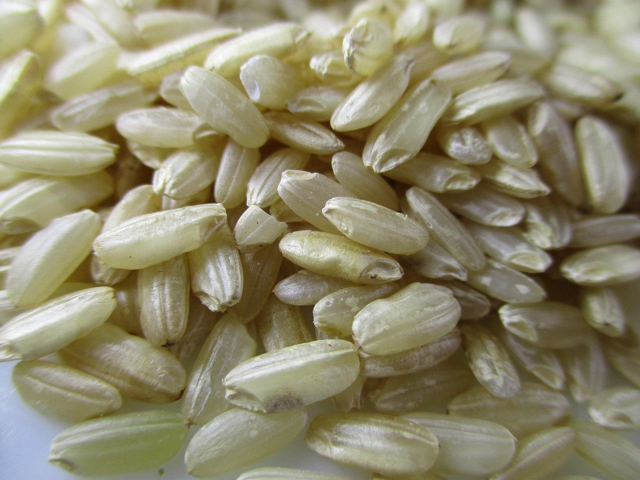 Quel est le secret d’un risotto crémeux comme en Italie ?