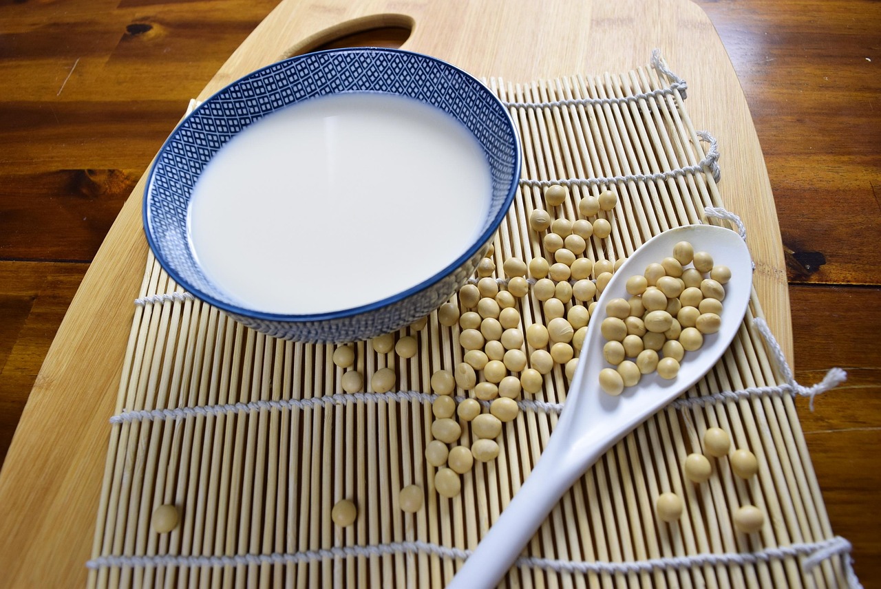 découvrez tout sur les protéines végétales : bienfaits, sources principales et conseils pour intégrer facilement ces alternatives saines et durables à votre alimentation.