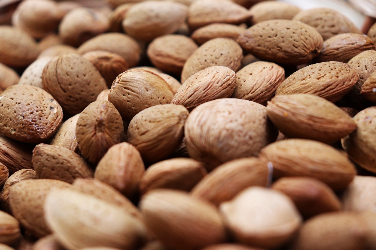 découvrez les bienfaits des protéines végétales : sources, avantages pour la santé et conseils pour intégrer facilement les protéines issues des plantes dans votre alimentation au quotidien.